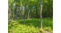 10 Eagle Tree Dr Lot Presque Isle, WI 54557 by Redman Realty Group, Llc $347,000