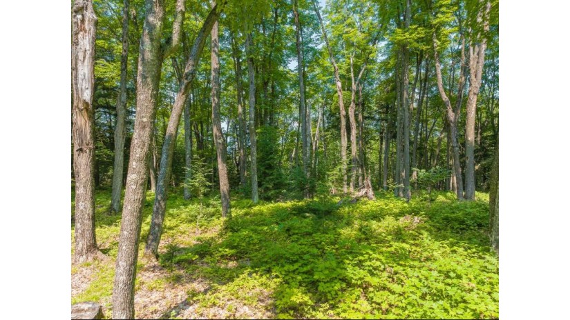 10 Eagle Tree Dr Lot Presque Isle, WI 54557 by Redman Realty Group, Llc $347,000