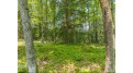 10 Eagle Tree Dr Lot Presque Isle, WI 54557 by Redman Realty Group, Llc $347,000