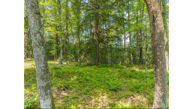 10 Eagle Tree Dr Lot Presque Isle, WI 54557 by Redman Realty Group, Llc $347,000