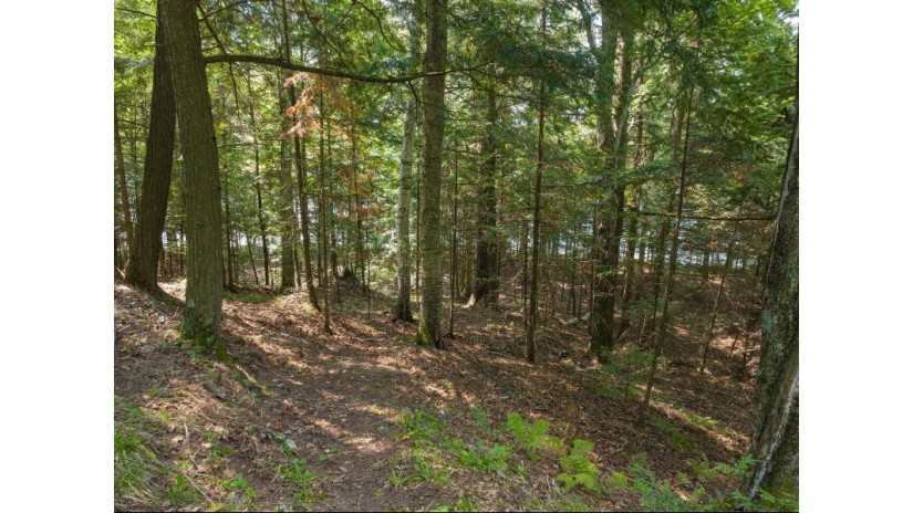 10 Eagle Tree Dr Lot Presque Isle, WI 54557 by Redman Realty Group, Llc $347,000