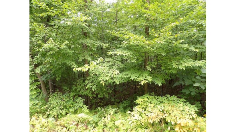 On Circle B Rd Lot 7 Winter, WI 54896 by Birchland Realty, Inc. - Phillips $44,500