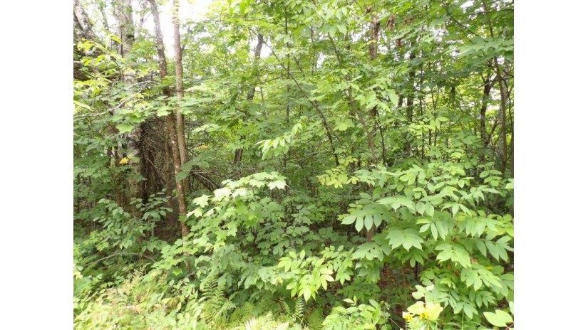 On Circle B Rd Lot 7 Winter, WI 54896 by Birchland Realty, Inc. - Phillips $44,500