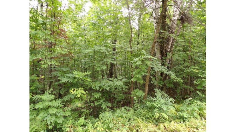 On Circle B Rd Lot 7 Winter, WI 54896 by Birchland Realty, Inc. - Phillips $44,500