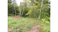 On Circle B Rd Lot 8 Winter, WI 54896 by Birchland Realty, Inc. - Phillips $44,500