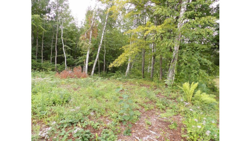 On Circle B Rd Lot 8 Winter, WI 54896 by Birchland Realty, Inc. - Phillips $44,500