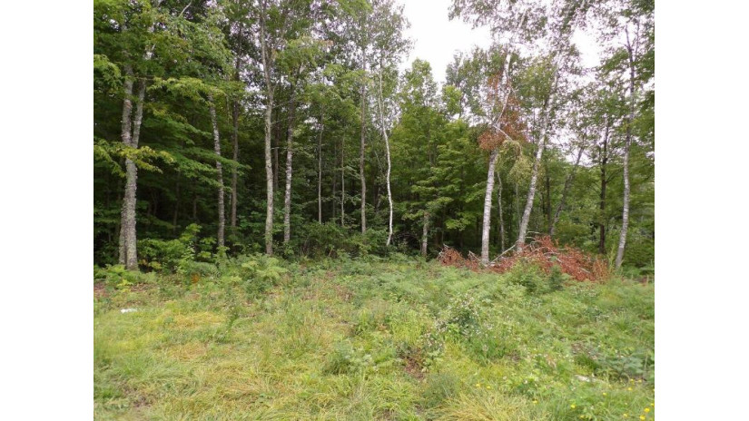 On Circle B Rd Lot 8 Winter, WI 54896 by Birchland Realty, Inc. - Phillips $44,500