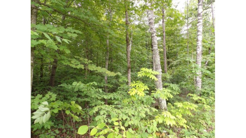 On Circle B Rd Lot 8 Winter, WI 54896 by Birchland Realty, Inc. - Phillips $44,500