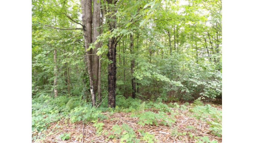 On Circle B Rd Lot 8 Winter, WI 54896 by Birchland Realty, Inc. - Phillips $44,500