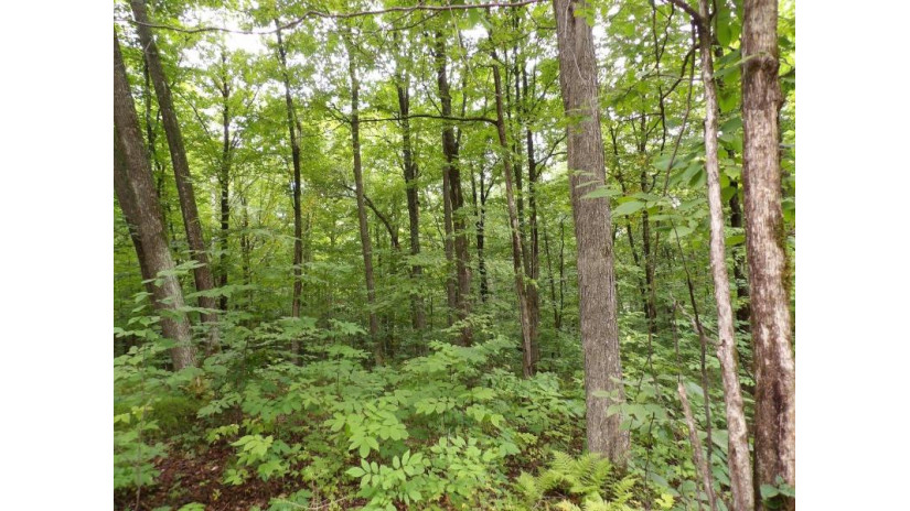 On Circle B Rd Lot 8 Winter, WI 54896 by Birchland Realty, Inc. - Phillips $44,500