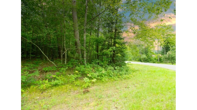 Lot 76 Groh Ln Mountain, WI 54149 by Realty One Group Haven $20,000