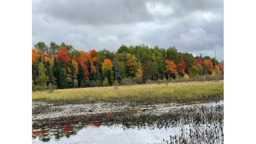 12.8 Ac State Line Rd Presque Isle, WI 54557 by Absolute Realtors Inc. $59,900