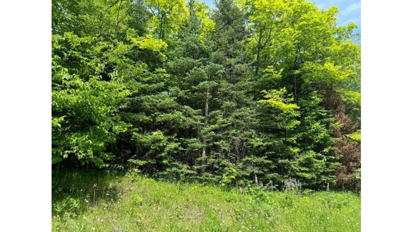 On Cth Ff 1.5 Acres Mercer, WI 54547 by Century 21 Pierce Realty - Mercer $28,000