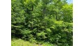 On Cth Ff 1.5 Acres Mercer, WI 54547 by Century 21 Pierce Realty - Mercer $28,000