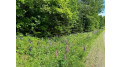 On Cth Ff 1.5 Acres Mercer, WI 54547 by Century 21 Pierce Realty - Mercer $28,000