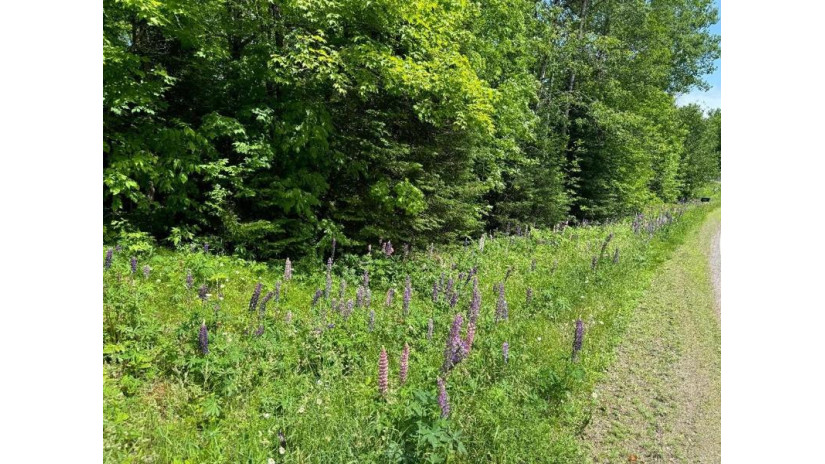 On Cth Ff 1.5 Acres Mercer, WI 54547 by Century 21 Pierce Realty - Mercer $28,000