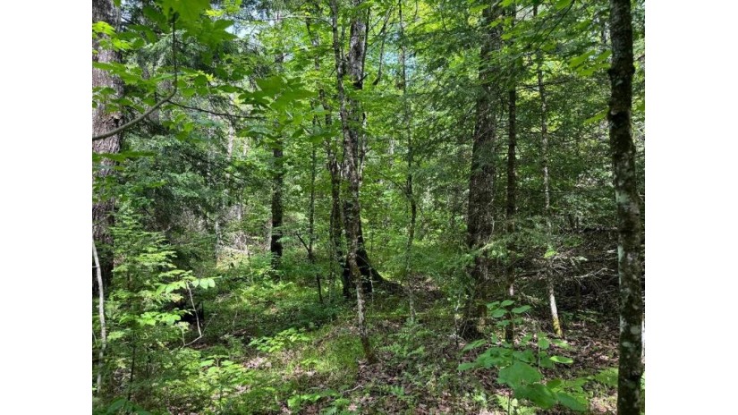 On Cth Ff 1.5 Acres Mercer, WI 54547 by Century 21 Pierce Realty - Mercer $28,000