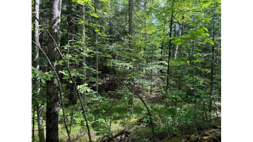 On Cth Ff 1.5 Acres Mercer, WI 54547 by Century 21 Pierce Realty - Mercer $28,000