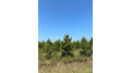 On Lund Rd Lot 17 Tomahawk, WI 54487 by First Weber - Rhinelander $109,900