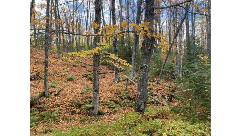 Lot Cth B Presque Isle, WI 54557 by Headwaters Real Estate $169,000