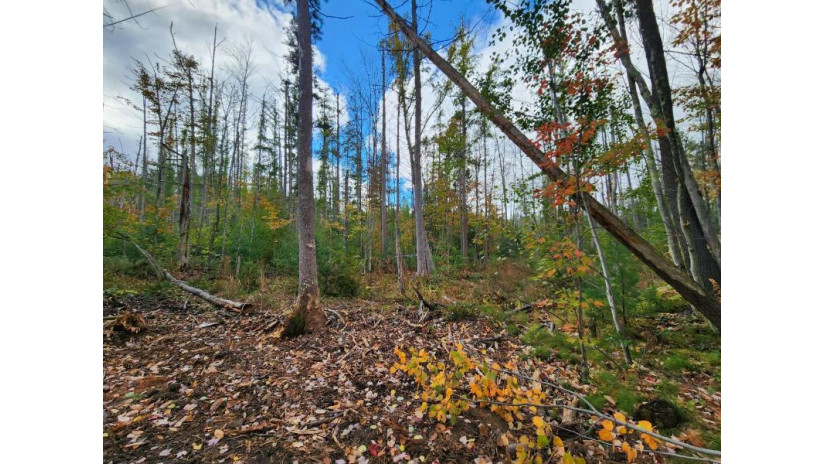 Lot 1 Gopher Ln Minocqua, WI 54548 by Redman Realty Group, Llc $299,900