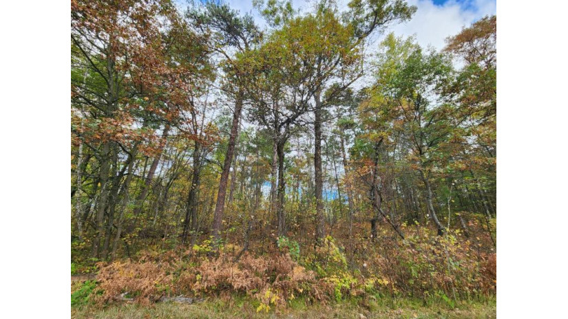 Lot 1 Gopher Ln Minocqua, WI 54548 by Redman Realty Group, Llc $299,900