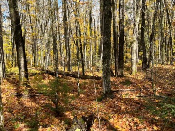 Lot 26 Black Forest Rd, Presque Isle, WI 54557