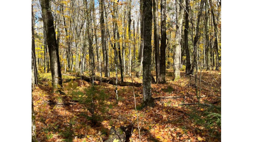 Lot 26 Black Forest Rd Presque Isle, WI 54557 by Redman Realty Group, Llc $19,900