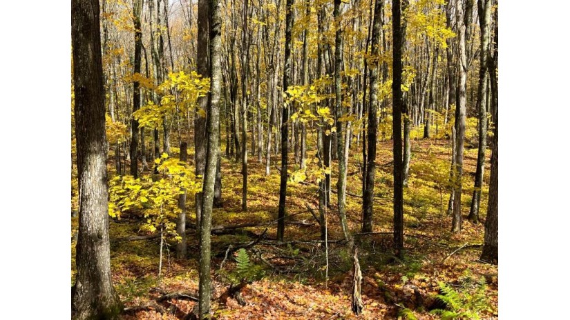 Lot 26 Black Forest Rd Presque Isle, WI 54557 by Redman Realty Group, Llc $19,900