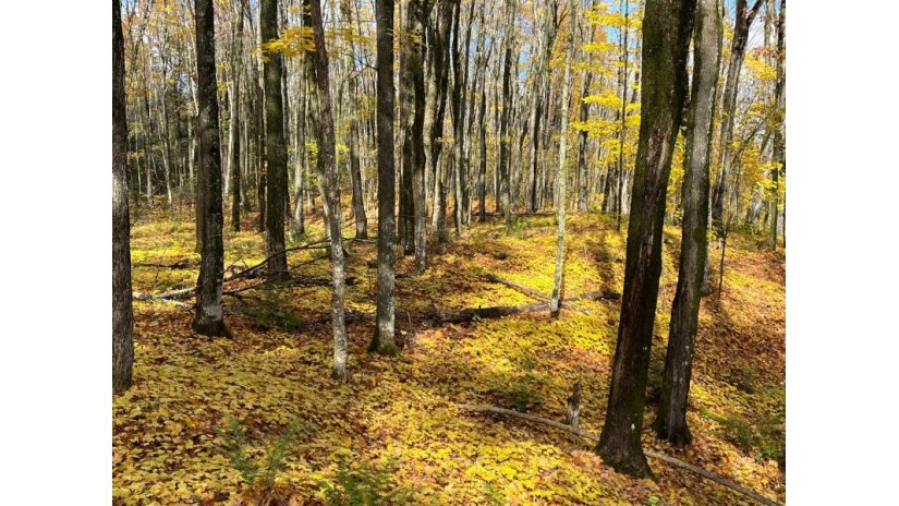 Lot 26 Black Forest Rd Presque Isle, WI 54557 by Redman Realty Group, Llc $19,900