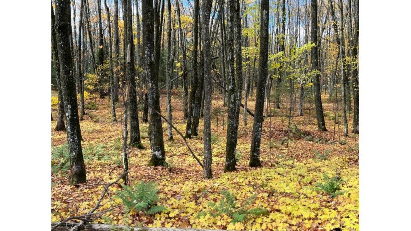 Lot 26 Black Forest Rd Presque Isle, WI 54557 by Redman Realty Group, Llc $19,900