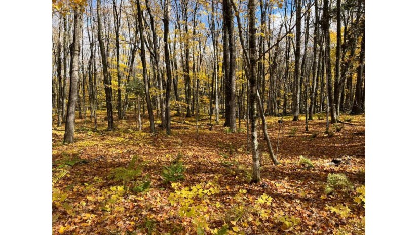 Lot 26 Black Forest Rd Presque Isle, WI 54557 by Redman Realty Group, Llc $19,900