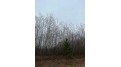 On Prairie Lake Rd 4069-13 Tomahawk, WI 54487 by First Weber - Rhinelander $126,750