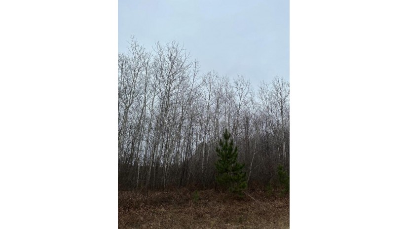 On Prairie Lake Rd 4069-13 Tomahawk, WI 54487 by First Weber - Rhinelander $126,750