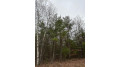 On Swamp Lake Rd 4069-17 Tomahawk, WI 54487 by First Weber - Rhinelander $234,000