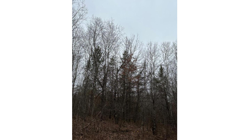 On Wood Rd 4069-22 Tomahawk, WI 54487 by First Weber - Rhinelander $336,000