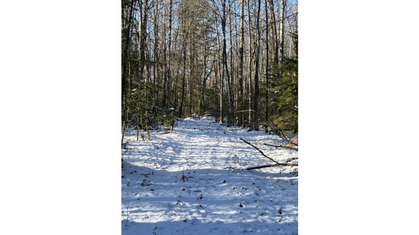 80 Ac Long Lake Rd Morse, WI 54527 by Redman Realty Group, Llc $99,900