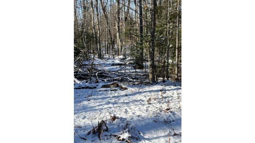 80 Ac Long Lake Rd Morse, WI 54527 by Redman Realty Group, Llc $99,900