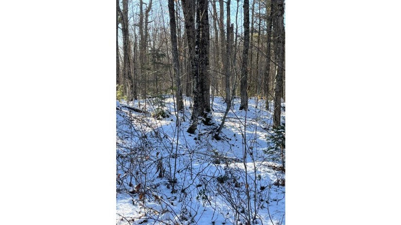 80 Ac Long Lake Rd Morse, WI 54527 by Redman Realty Group, Llc $99,900