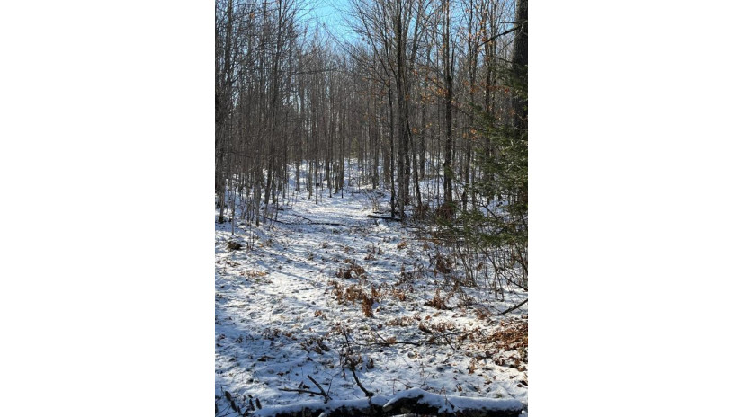 80 Ac Long Lake Rd Morse, WI 54527 by Redman Realty Group, Llc $99,900