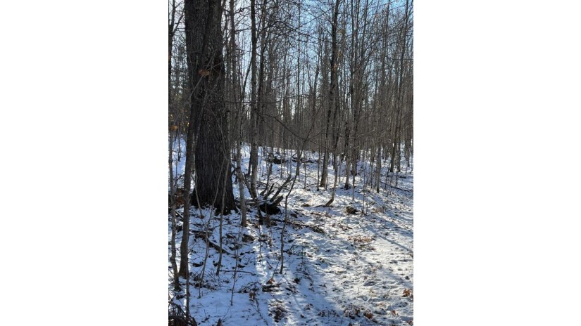 80 Ac Long Lake Rd Morse, WI 54527 by Redman Realty Group, Llc $99,900