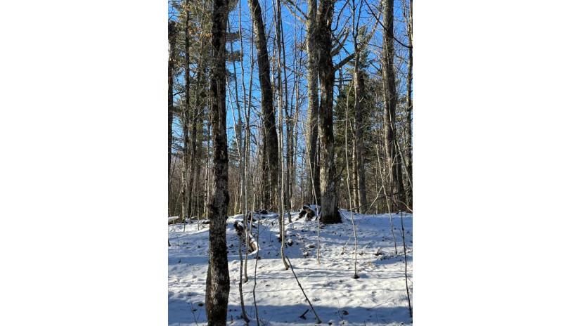 80 Ac Long Lake Rd Morse, WI 54527 by Redman Realty Group, Llc $99,900