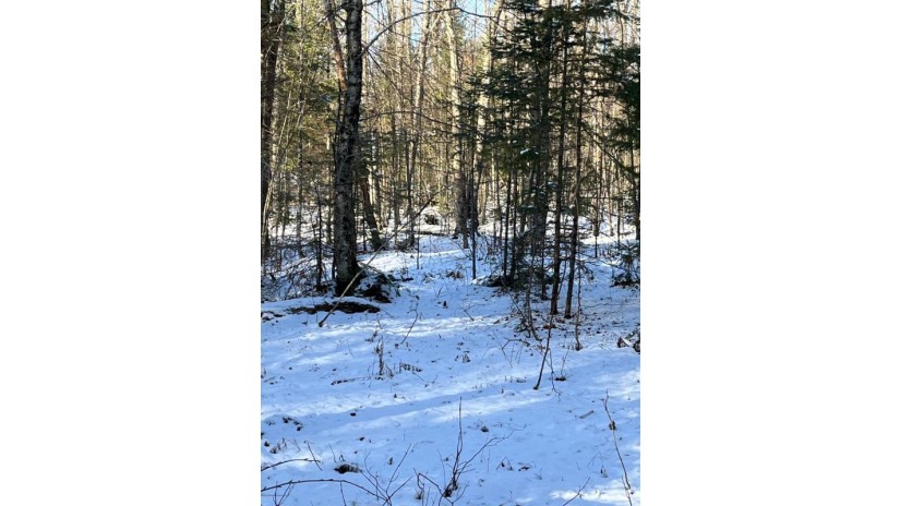 80 Ac Long Lake Rd Morse, WI 54527 by Redman Realty Group, Llc $99,900