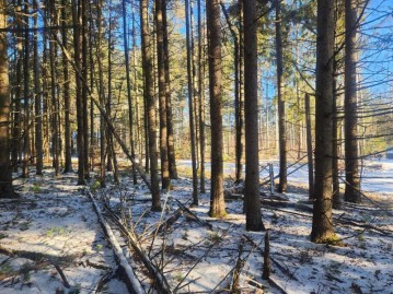 Lot 1 Pickerel Dr, Lac Du Flambeau, WI 54538