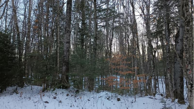 On Hewitt Ln Lot 49 Mercer, WI 54534 by First Weber - Bessemer $85,000