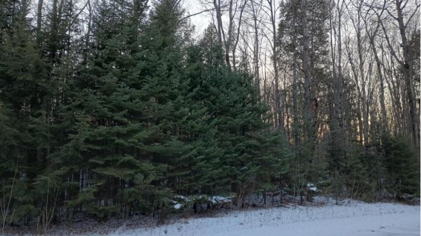 On Hewitt Ln Lot 49 Mercer, WI 54534 by First Weber - Bessemer $85,000