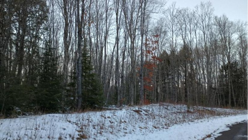 On Hewitt Ln Lot 49 Mercer, WI 54534 by First Weber - Bessemer $85,000