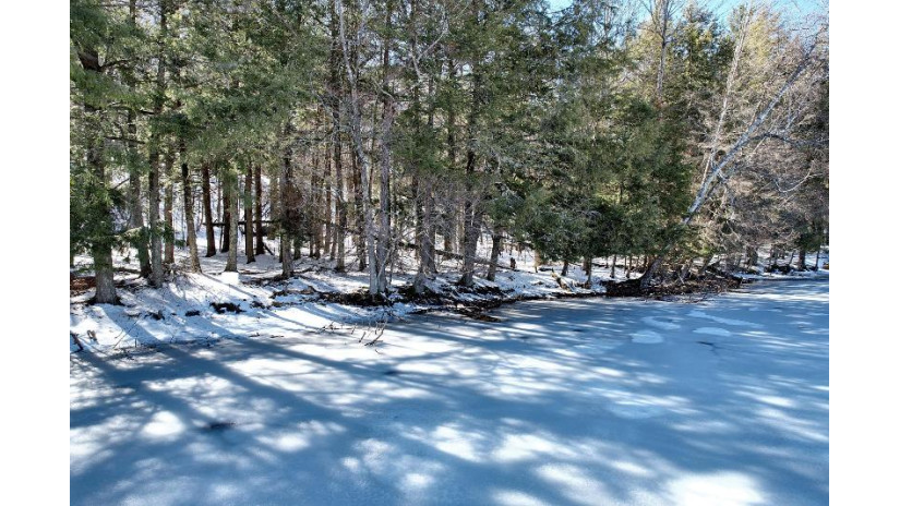 On Forest Lake Rd W Land O Lakes, WI 54540 by Eliason Realty - Land O Lakes $290,000