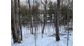 On Forest Lake Rd W Land O Lakes, WI 54540 by Eliason Realty - Land O Lakes $290,000