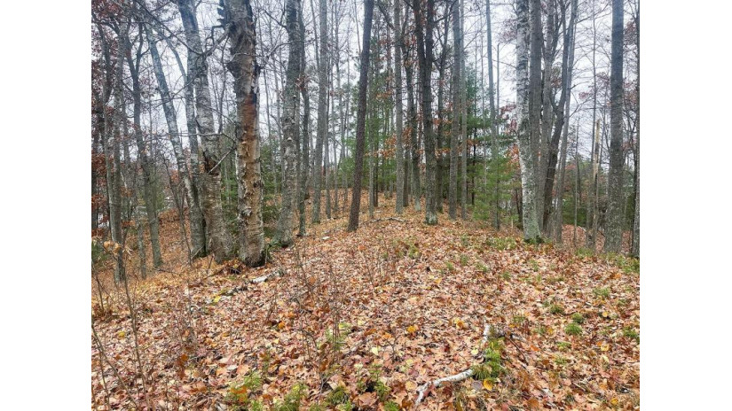 Off Deer Trail Rd Tomahawk, WI 54487 by Northwoods Community Realty, Llc $215,000